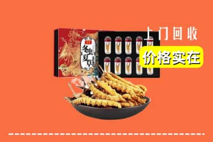 广州越秀区回收冬虫夏草
